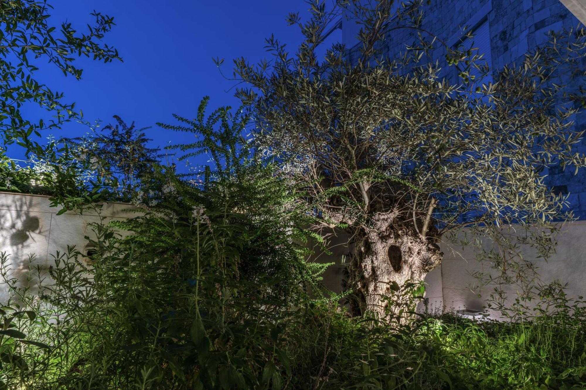 Olea Boutique Suites Polignano Полиняно а Маре Екстериор снимка